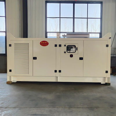 250KVA Generatore di armadio di tipo super silenzioso marino Diesel 110V Potenza 64KW 100KVA 110KVA